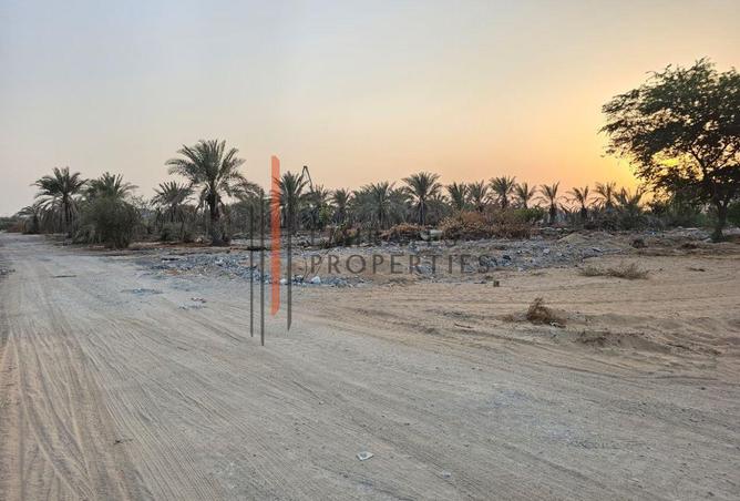 16138887 - Property Image 3