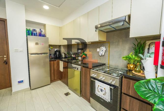 108185674 - Property Image 3
