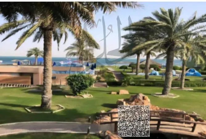 135612151 - صورة العقار 3