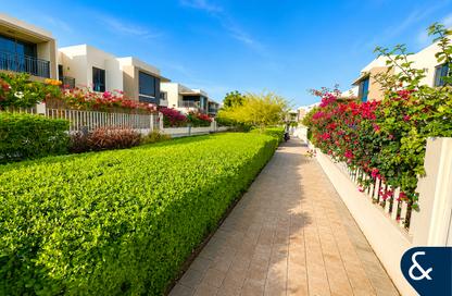 Villa - 3 Bedrooms - 4 Bathrooms for sale in Maple at Dubai Hills Estate 1 - Maple at Dubai Hills Estate - Dubai Hills Estate - Dubai Villa - 3 Bedrooms - 4 Bathrooms for sale in Maple at Dubai Hills Estate 1 - Maple at Dubai Hills Estate - Dubai Hills Estate - Dubai