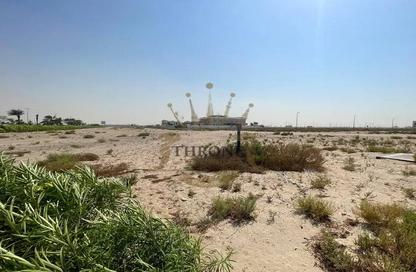 Land - Studio for sale in Jebel Ali Hills - Saih Shuaib 1 - Jebel Ali - Dubai