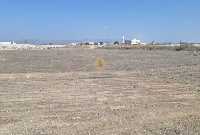 63644476 - Property Image 2