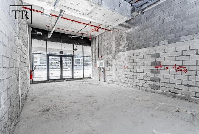 16053031 - Property Image 2