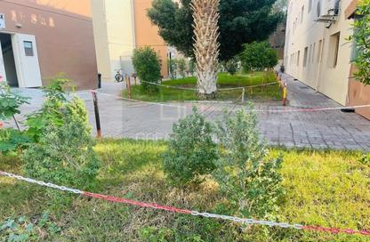 عمارة بالكامل - استوديو - 8 حمامات للايجار في دبي إنفستمنت بارك 1 (DIP 1) - مجمع دبي للاستثمار - دبي