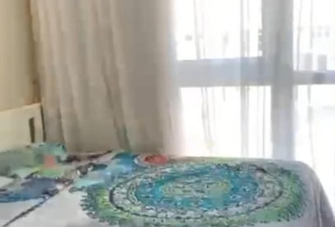 16033914 - Property Image 3