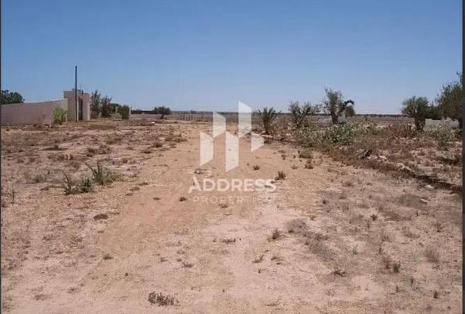 16228463 - Property Image 3