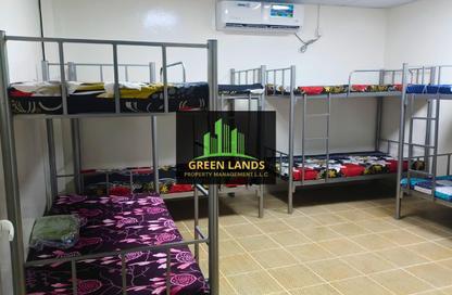 Staff Accommodation - Studio - 7+ for rent in Mussafah Industrial Area - Mussafah - Abu Dhabi