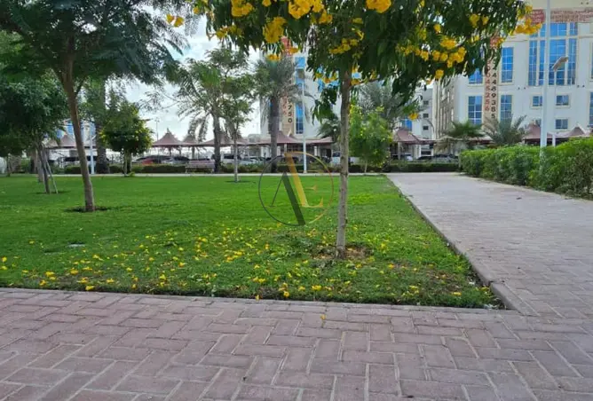 113254510 - Property Image 2