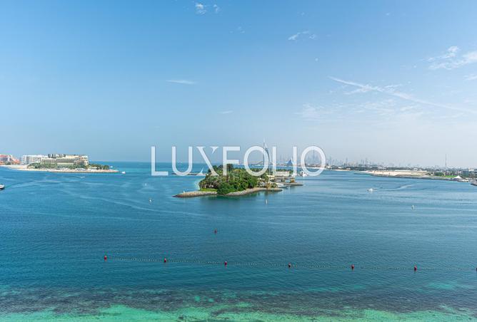 16113922 - صورة العقار 2