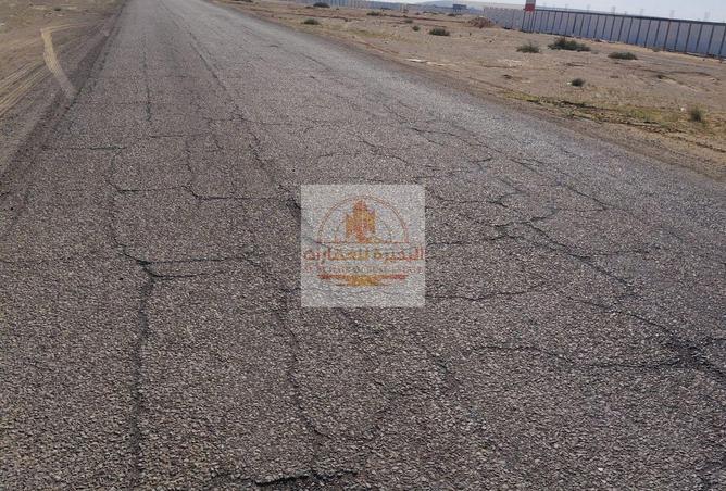 56548080 - Property Image 3