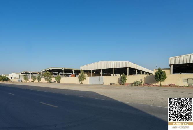 81945240 - Property Image 3