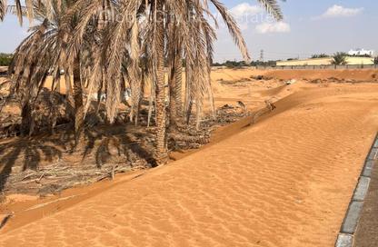 أرض - استوديو للبيع في الزاهية - عجمان