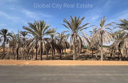 Land - Studio for sale in Al Zahya - Ajman