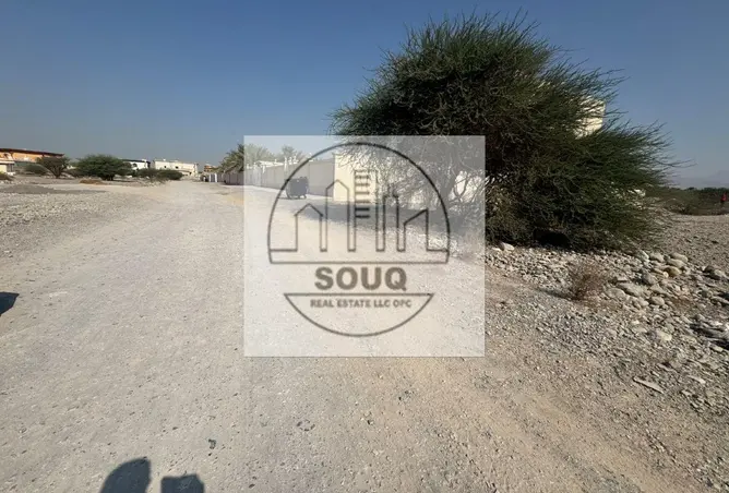 162776313 - Property Image 3