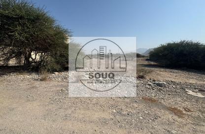 Land - Studio for sale in Seih Al Uraibi - Ras Al Khaimah Land - Studio for sale in Seih Al Uraibi - Ras Al Khaimah