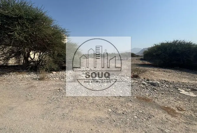 162776313 - Property Image 2