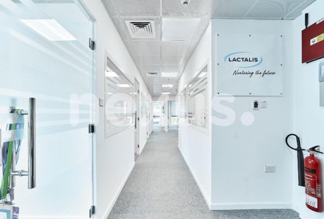 16249981 - Property Image 3