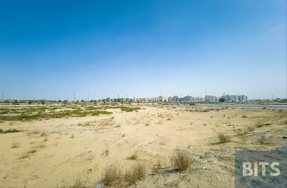 أرض - استوديو للبيع في 1 الورسان - الورسان - دبي