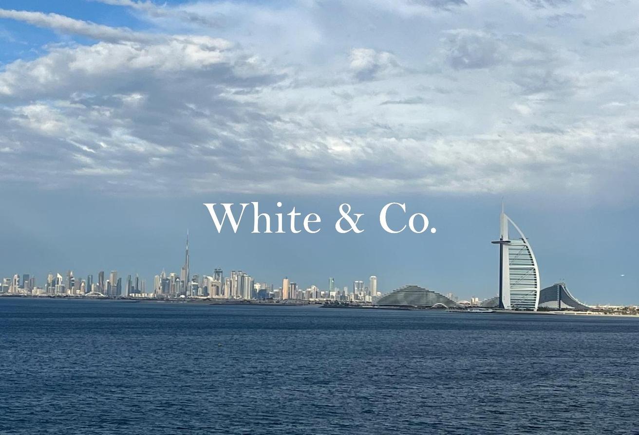 Upgraded | Fully Furnished | Burj Facing photo 25