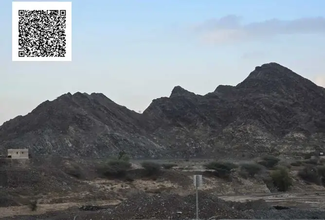 151339875 - صورة العقار 2