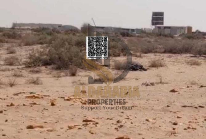 16125591 - Property Image 3