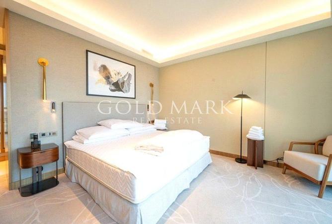 16036649 - Property Image 3