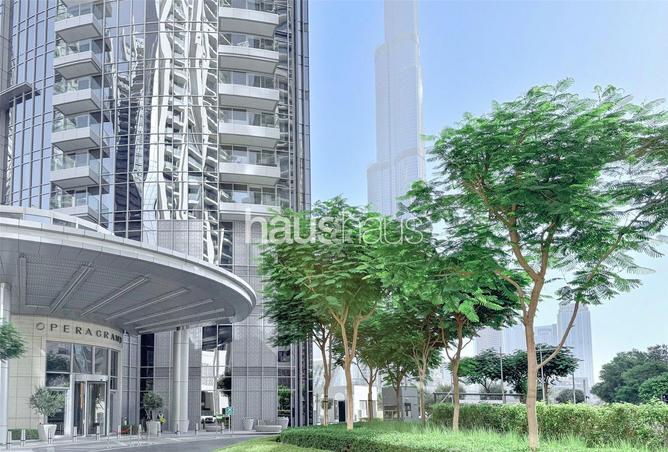 16219565 - Property Image 2