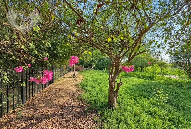 160079336 - Property Image 3