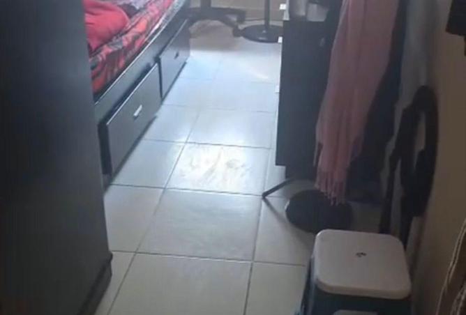 16188585 - Property Image 2