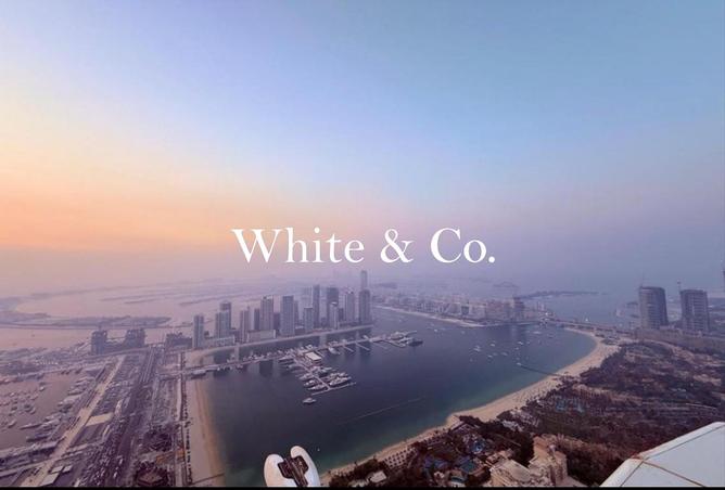 87025654 - صورة العقار 2