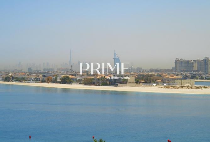 16173669 - صورة العقار 3