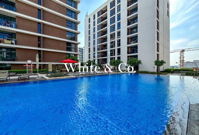 135156544 - Property Image 3