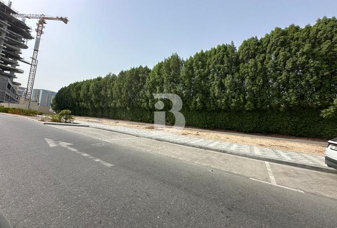 141904792 - Property Image 3