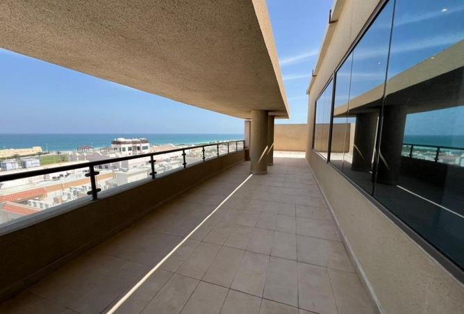 77792737 - صورة العقار 3