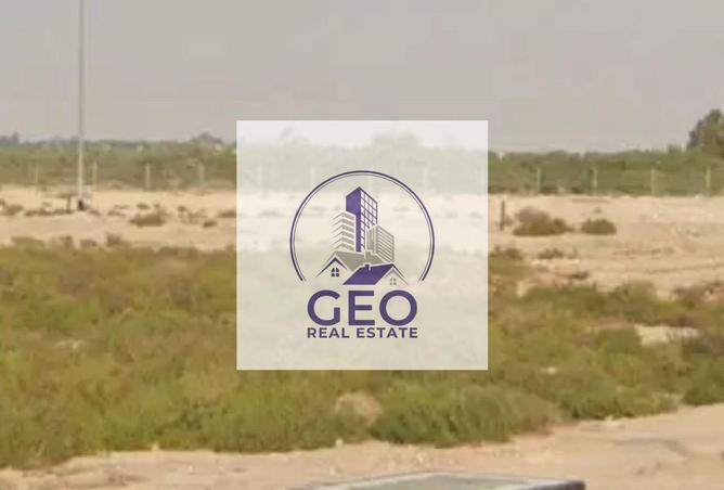 16146689 - Property Image 3