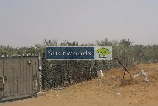 112730284 - Property Image 3