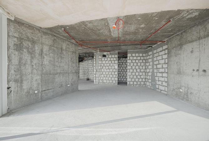 16255181 - Property Image 3