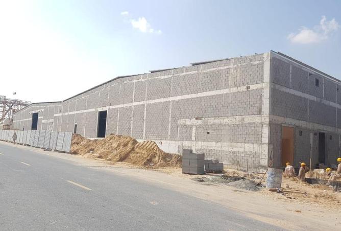 16261769 - Property Image 3