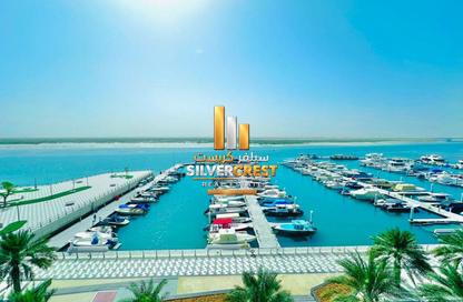 Apartment - 2 - 4 for rent in Qaryat Al Hidd - Saadiyat Island - Abu Dhabi
