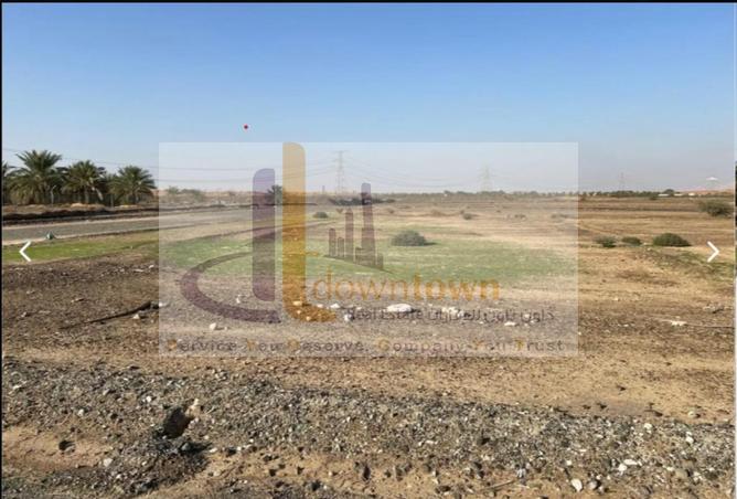 16203590 - صورة العقار 3