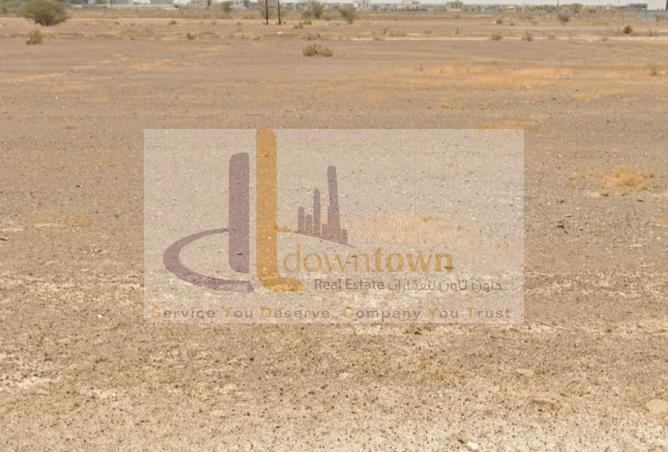 16203590 - صورة العقار 2