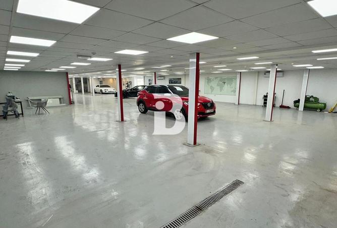 54389564 - صورة العقار 2