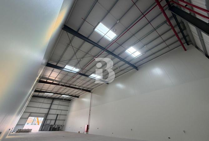 16282744 - صورة العقار 3