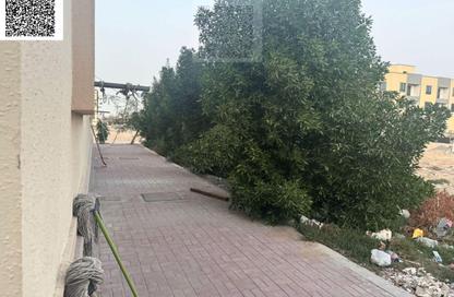 Whole Building - 7+ Bedrooms - 7+ Bathrooms for sale in Ajman Industrial 1 - Ajman Industrial Area - Ajman