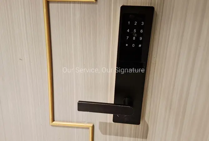 163233977 - Property Image 3