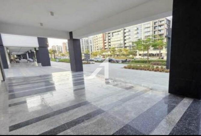 15526998 - Property Image 3