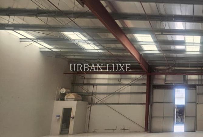 81944766 - صورة العقار 3