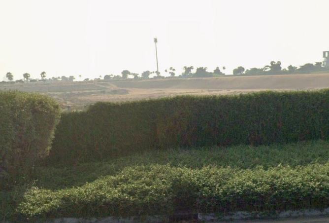 16170663 - صورة العقار 2