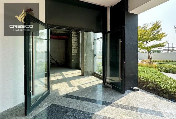 16236604 - Property Image 3