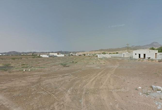 142354798 - Property Image 2